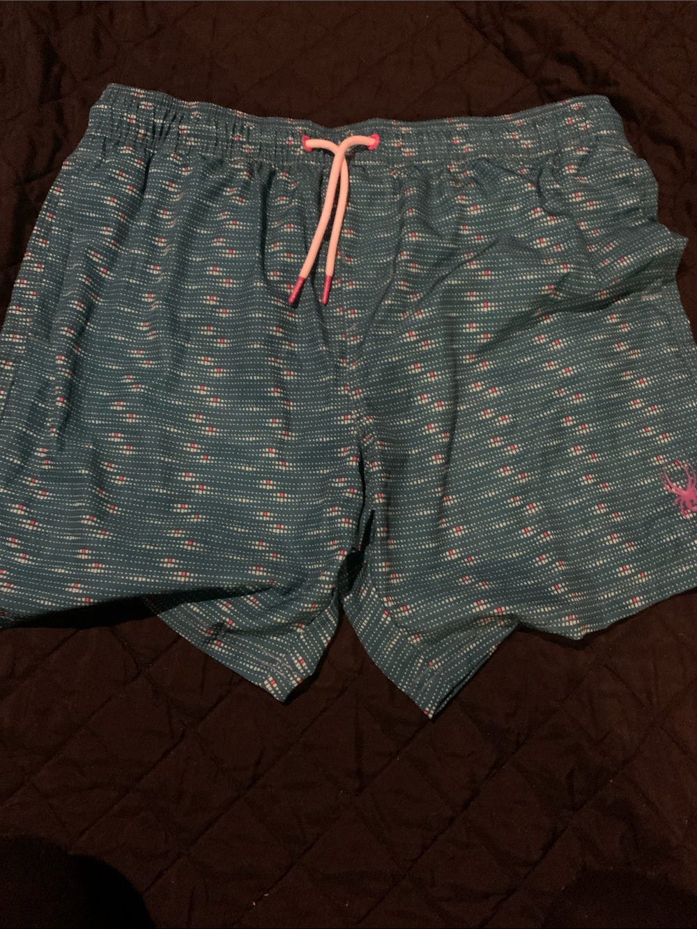 Spyder Teal Swim Board Shorts with Pink Drawstring